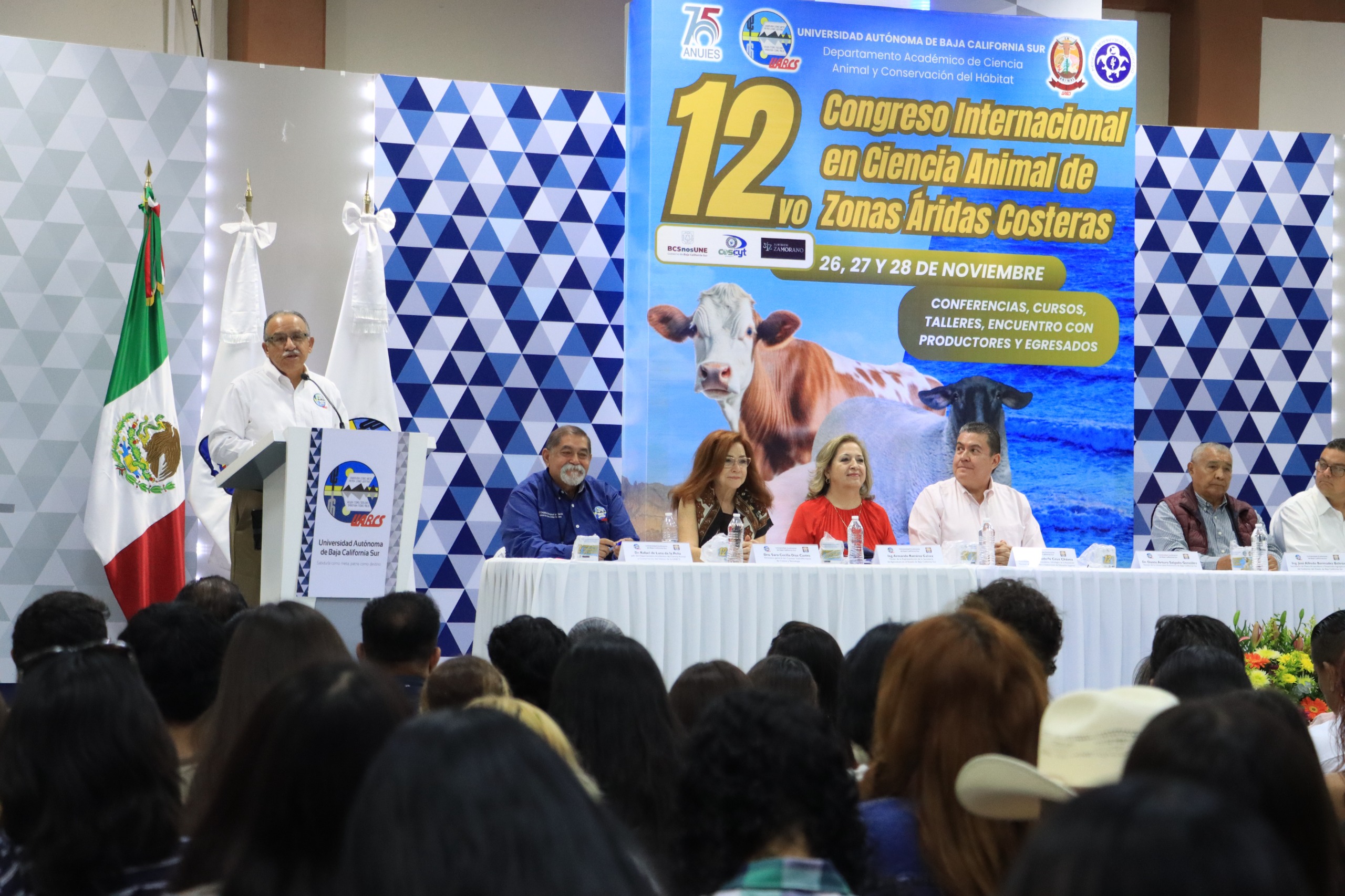 person capturing an image