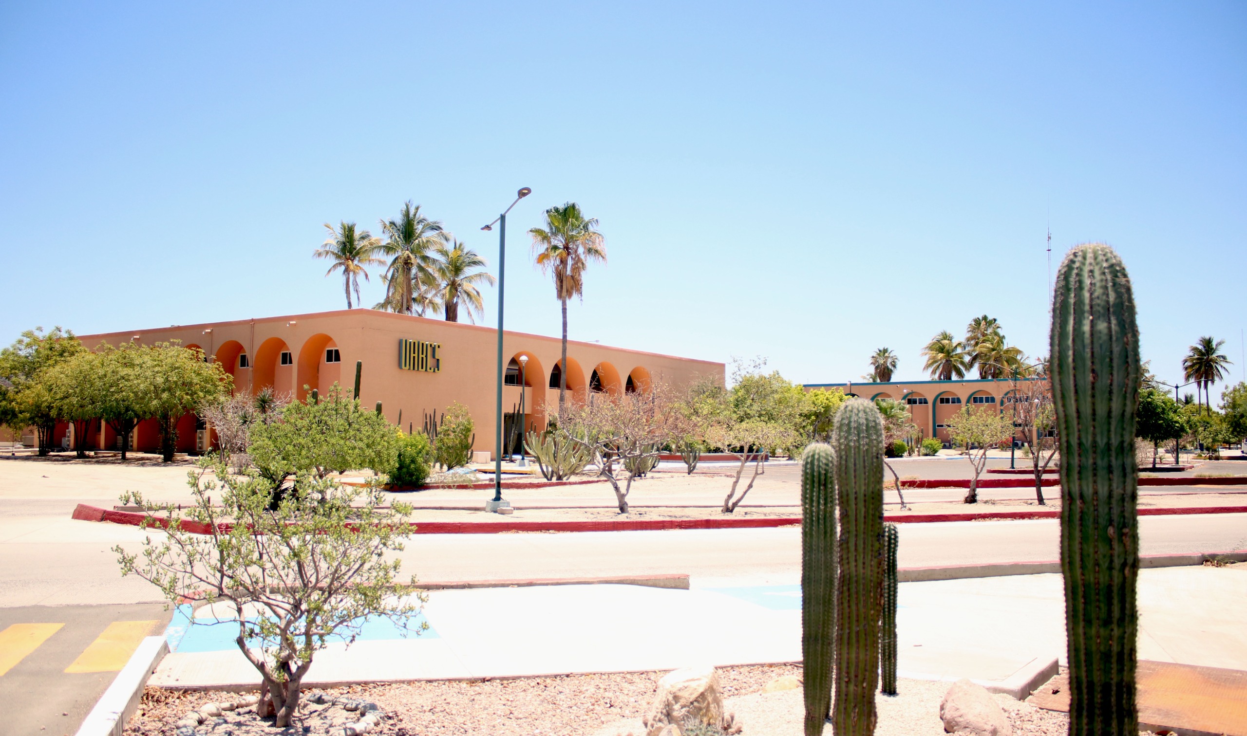 person capturing an image