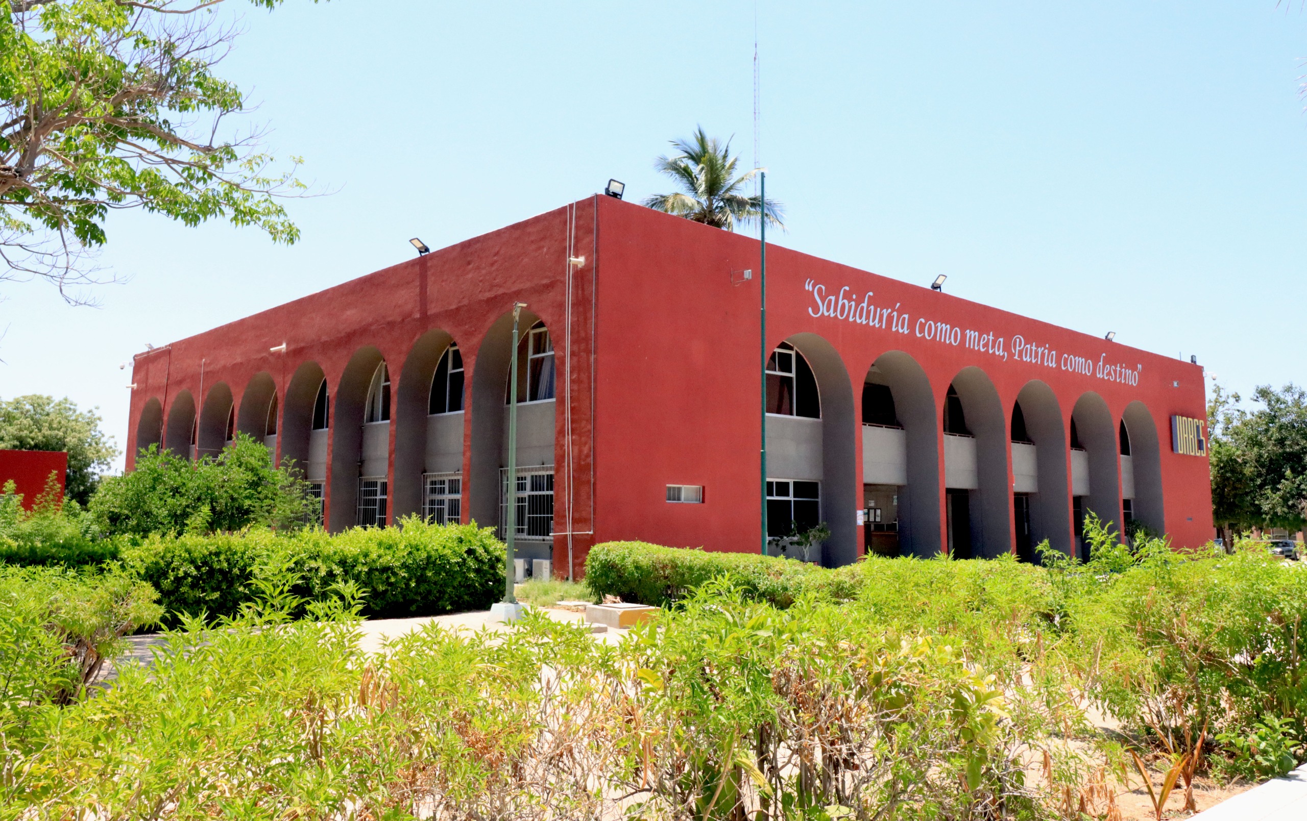 person capturing an image