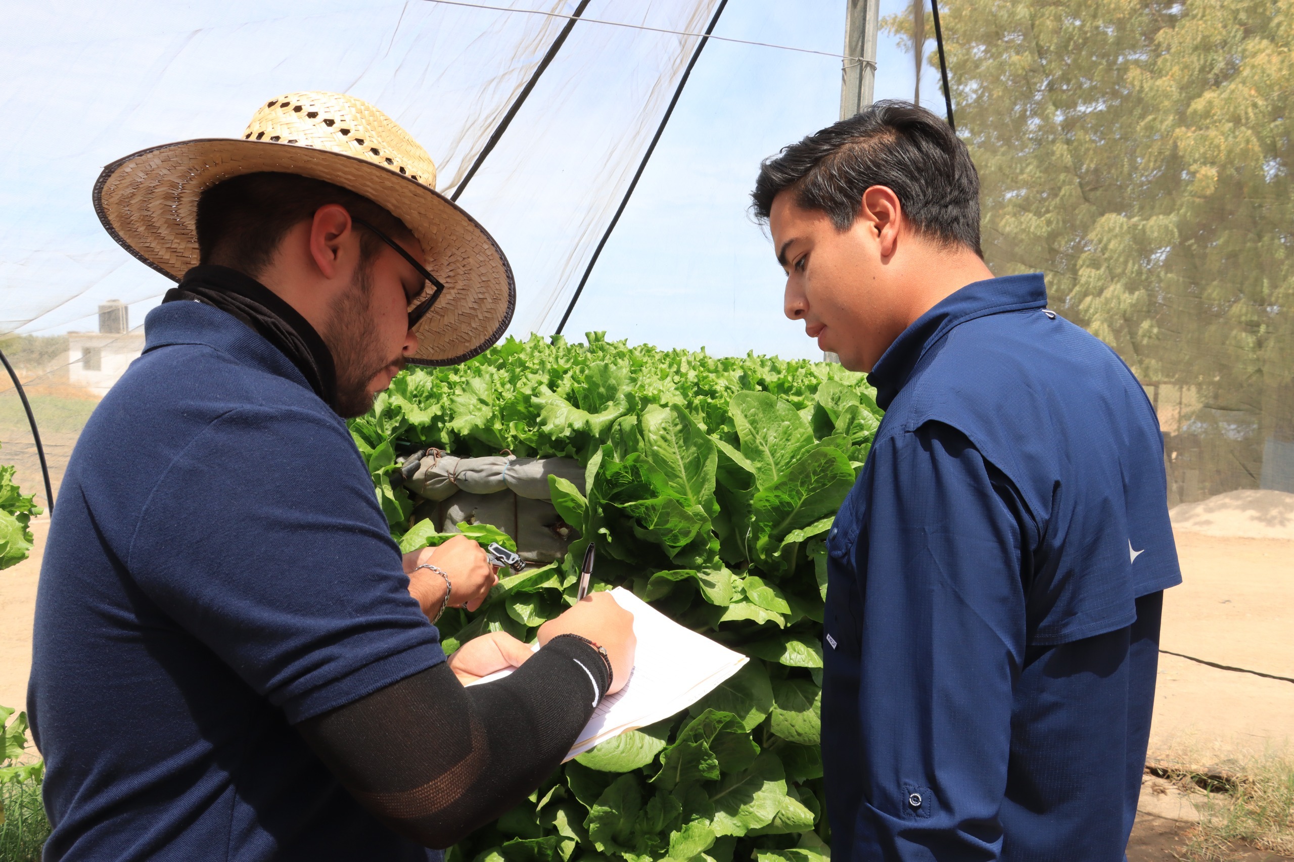 person capturing an image